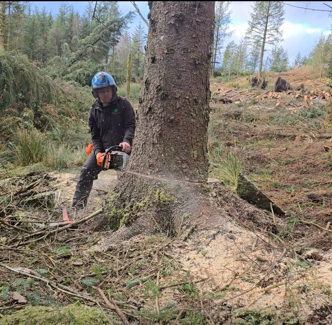 CWB Forestry - (21)
