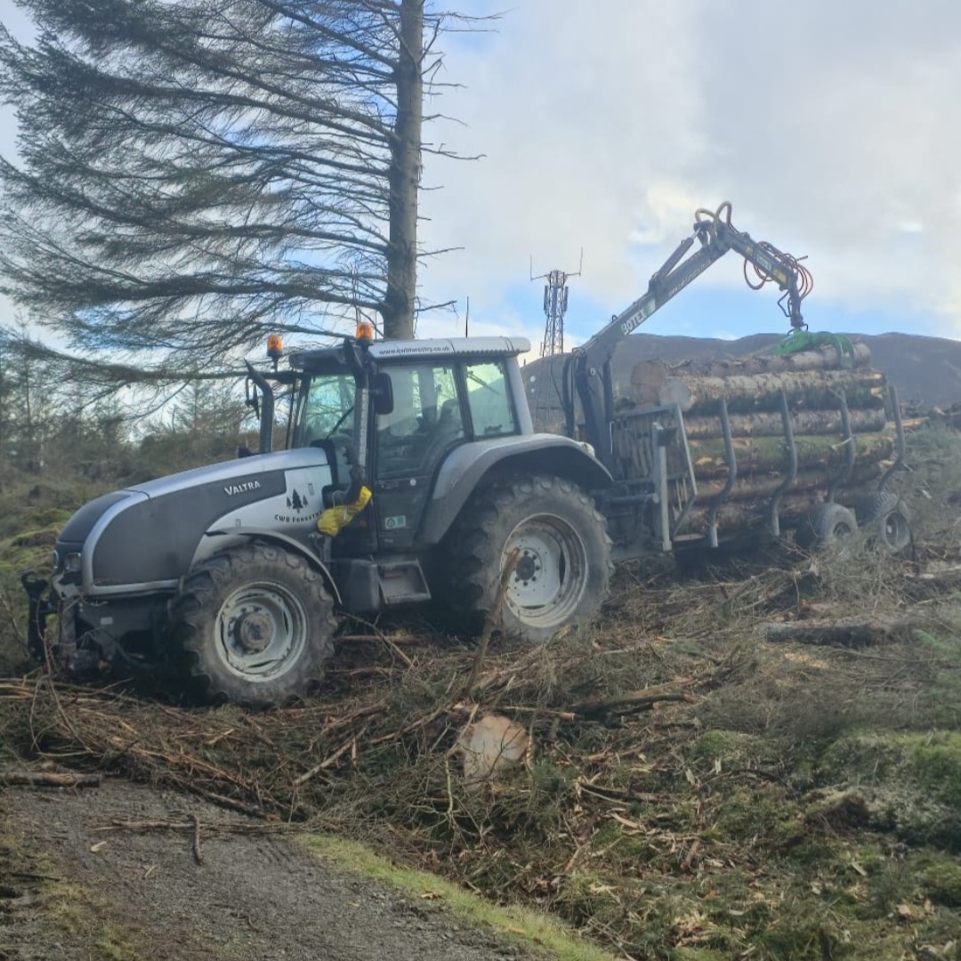CWB Forestry - (24)