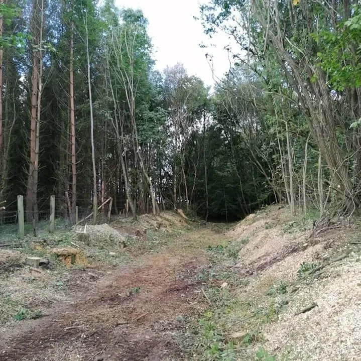 Clearance (4)