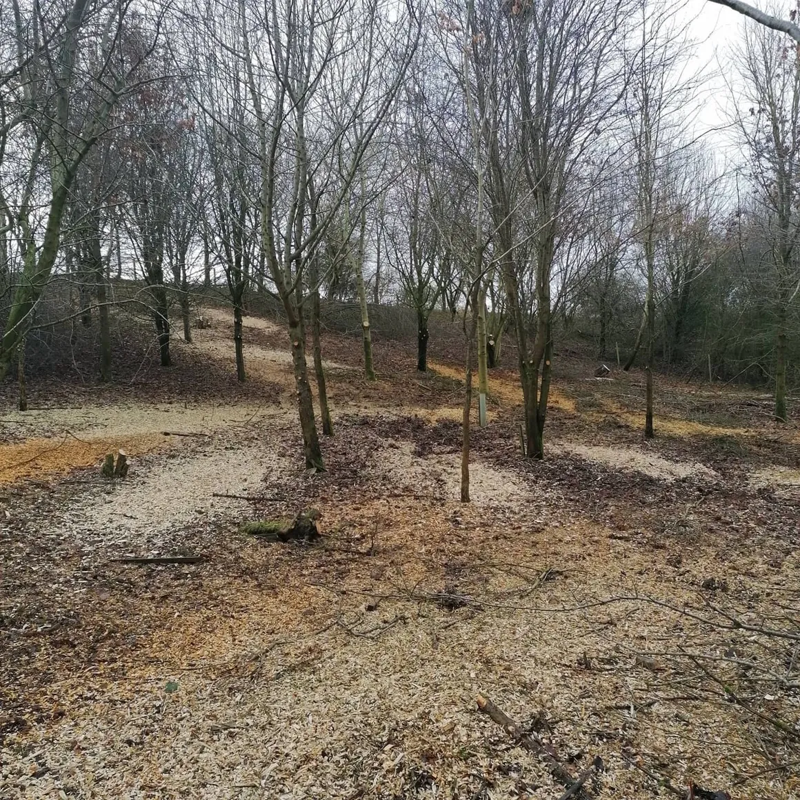 Woodland (3)