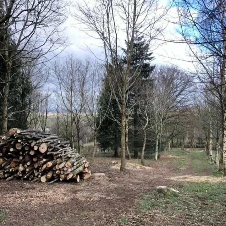 Woodland (4)